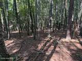 919 Panther Top Road - Photo 8