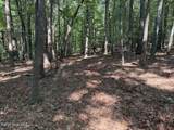 919 Panther Top Road - Photo 9