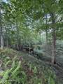Lot 59 Quiet Mountain Trail - Photo 3
