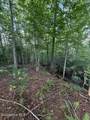 Lot 59 Quiet Mountain Trail - Photo 4