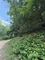 Lot 59 Quiet Mountain Trail - Photo 6