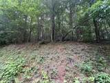 Lot 59 Quiet Mountain Trail - Photo 8