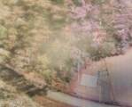 01 Salem Road - Photo 2