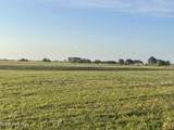 000 Royal Tern Way - Photo 4