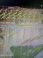000 Royal Tern Way - Photo 6