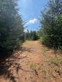 Lot 9 Paradise - Photo 6