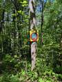 Lot 16 Paradise - Photo 8