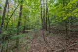 2 AC Horvath Road - Photo 11