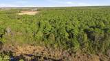 5.5 Ac Plantation Road - Photo 10