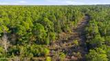 5.5 Ac Plantation Road - Photo 11