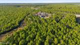 5.5 Ac Plantation Road - Photo 12
