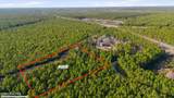 5.5 Ac Plantation Road - Photo 2