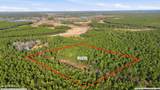 5.5 Ac Plantation Road - Photo 4