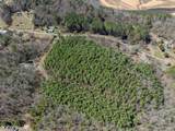 8 Acres Old Murphy Road - Photo 10
