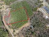 8 Acres Old Murphy Road - Photo 6