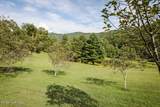 1056 Franks Creek Road - Photo 103
