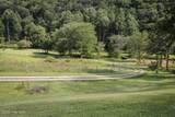 1056 Franks Creek Road - Photo 86