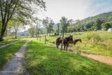 1056 Franks Creek Road - Photo 93