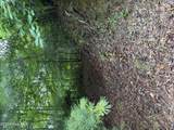 Lot 3 Mountain Vista Lane - Photo 1