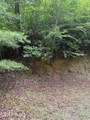 Lot 3 Mountain Vista Lane - Photo 2