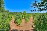 170 Landing Road - Photo 17