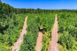 170 Landing Road - Photo 54