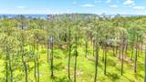 203 River Watch Road - Photo 21