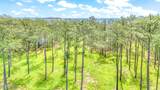 203 River Watch Road - Photo 8