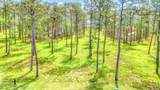 203 River Watch Road - Photo 13