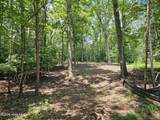 Lot 10 Bobcat Lane - Photo 10