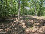Lot 10 Bobcat Lane - Photo 11