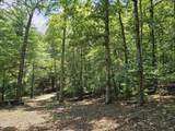 Lot 10 Bobcat Lane - Photo 15