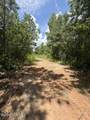 255 Menros Way - Photo 7
