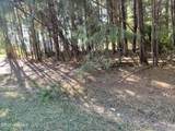 Lot 10 Bethel Creek Lane - Photo 1