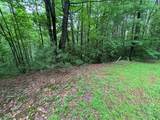 Lot 11 Horse Camp Drive - Photo 11