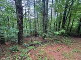 Lot 11 Horse Camp Drive - Photo 8