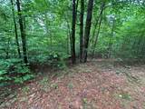 Lot 11 Horse Camp Drive - Photo 9
