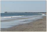 4215 Beach Drive - Photo 12