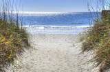4215 Beach Drive - Photo 14