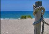 4215 Beach Drive - Photo 9
