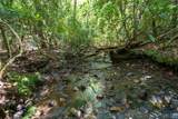 26.98 Ac Tusquittee - Photo 1