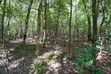 26.98 Ac Tusquittee - Photo 12