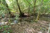 26.98 Ac Tusquittee - Photo 13