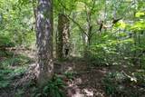 26.98 Ac Tusquittee - Photo 15