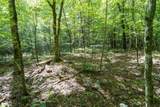 26.98 Ac Tusquittee - Photo 17