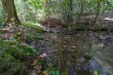 26.98 Ac Tusquittee - Photo 19