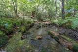 26.98 Ac Tusquittee - Photo 21