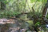 26.98 Ac Tusquittee - Photo 22