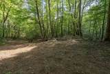 26.98 Ac Tusquittee - Photo 23