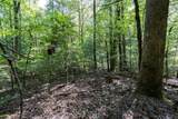 26.98 Ac Tusquittee - Photo 28